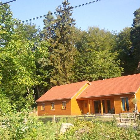 Vosges Chambres D'Hotes Jeanmenil Exterior foto